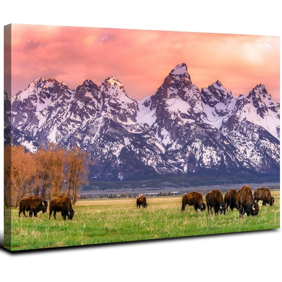 Aaheei Grand Teton Wall Art Highland Cow Nature Wall Decor National Park Mountains Canvas Artworkin, Animal Cattle Picture Wyoming Country Poster for Living Room Bedroom Office Home Decor