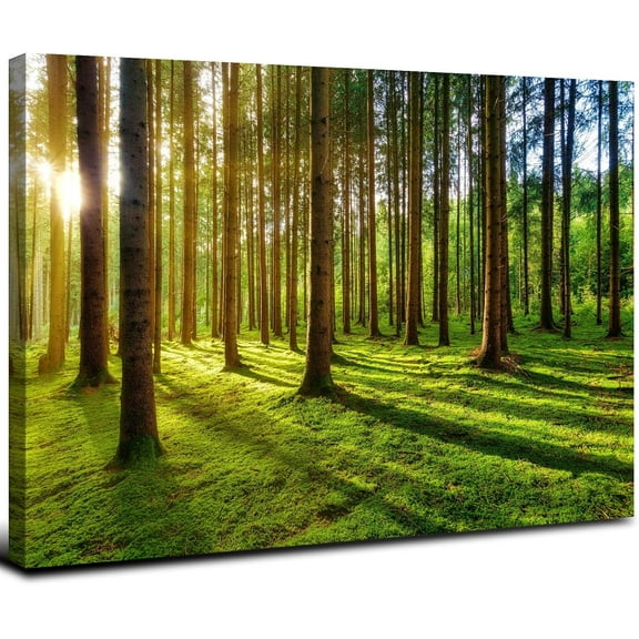 Aaheei Nature Forest Canvas Wall Art for Green Mountain Scenery Wall Decor Bedroom Morning Sunlight Picture Trees Tropical Landscape Canvas Artwork Bathroom Kitchen Office Home Decorations