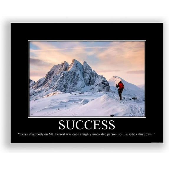 Aaheei Success Demotivational Poster Snarky Ironic Funny Sarcastic Office Wall Decor Art Print Unframed