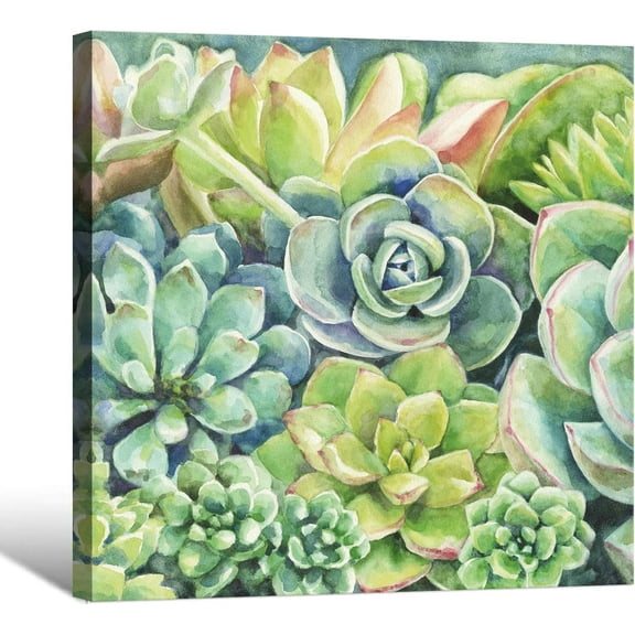 Aaheei Succulent Plants Bathroom Decor Wall Art Green Cactus Picture Canvas Print Watercolor Botanical Painting for Kitchen Home Wall Decoration