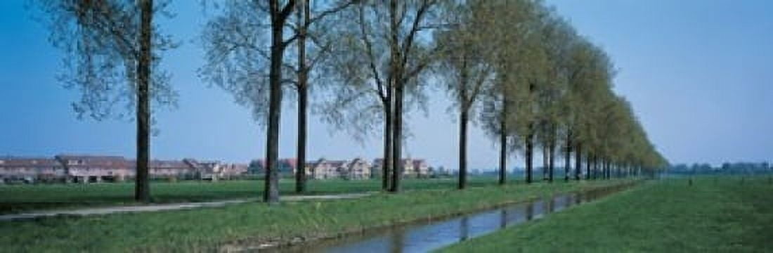 Aalsmeer Holland Netherlands Canvas Art - Panoramic Images (36 x 12)
