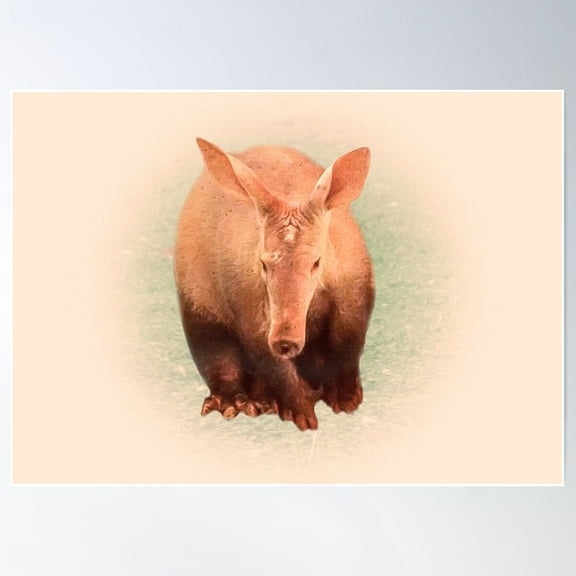 Aardvark Poster Wall Art, Modern Wall Decor For Living Room Bedroom, 8x12 UNFRAMED