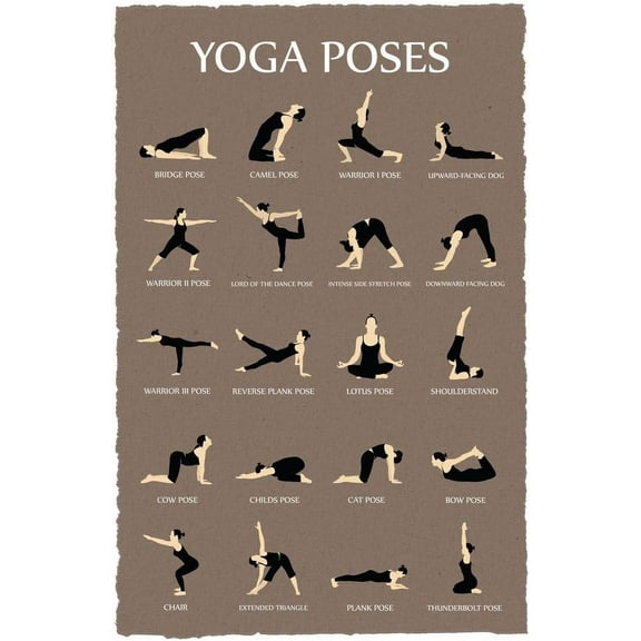Aaroca Yoga Poses Reference Chart Studio Gray Cool Wall Art Print Poster