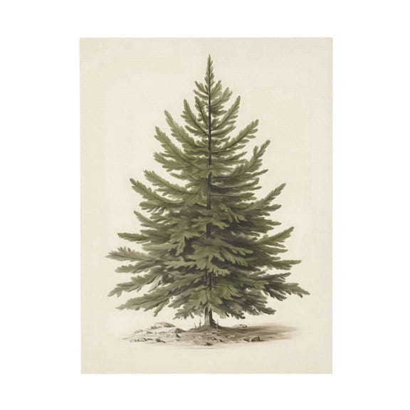 Aarocafa - Vintage Canvas Wall Art Conifer Pine Tree Print Pictures Poster in Natural Home & Commercial Decor - 16x20in-No Frame