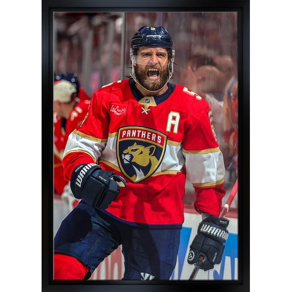 Aaron Ekblad 20x29 Framed Canvas Panthers 2025 Playoffs