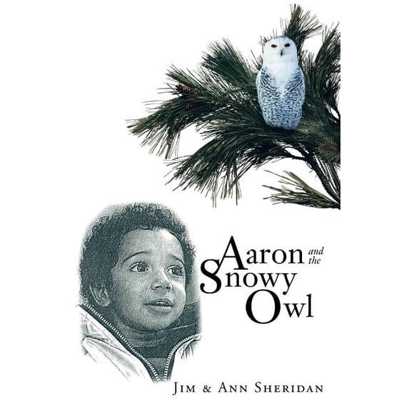 Aaron and the Snowy Owl