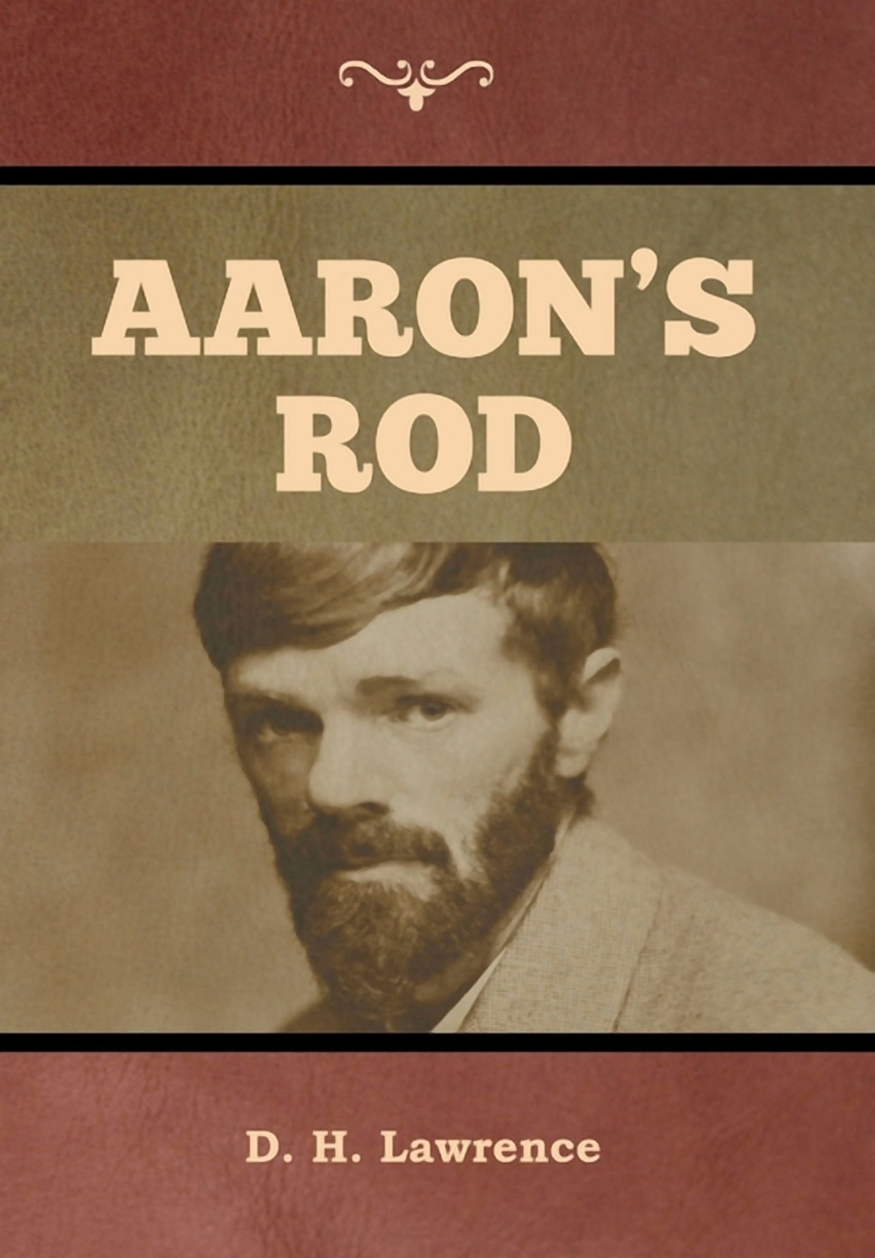 Aaron's Rod - Walmart.com