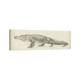 thumbnail image 1 of AatoeaX "Alligator Sketch" Canvas Print Modern Wall Art Canvas Poster – Aesthetic Print for Home, Office, or Apartment Decor ,11"x14"or14"x11",Unframe, 1 of 4