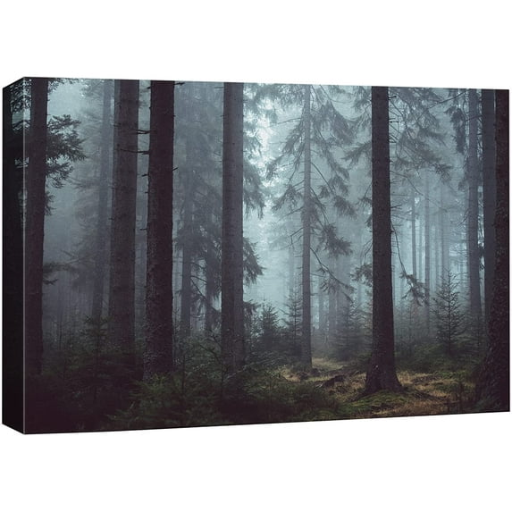 AatoeaX Canvas Print Wall Art Pine Tree Forest in The Mist Nature Wilderness Photography Modern Art Rustic Scenic Colorful Multicolor for Living Room, Bedroom, Office