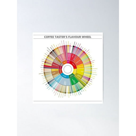 AatoeaX Coffee Flavour Wheel Poster Aesthetic Home Decor – Perfect for Gallery Walls or Gifts,8"x10"or10"x8",Unframe