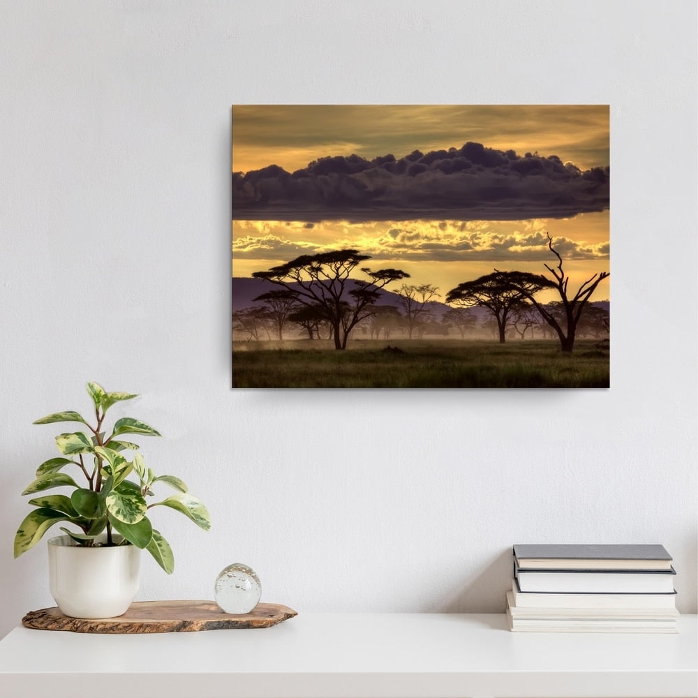 AatoeaX Good Evening Tanzania' Scenic Wrapped Canvas Wall Art Modern ...