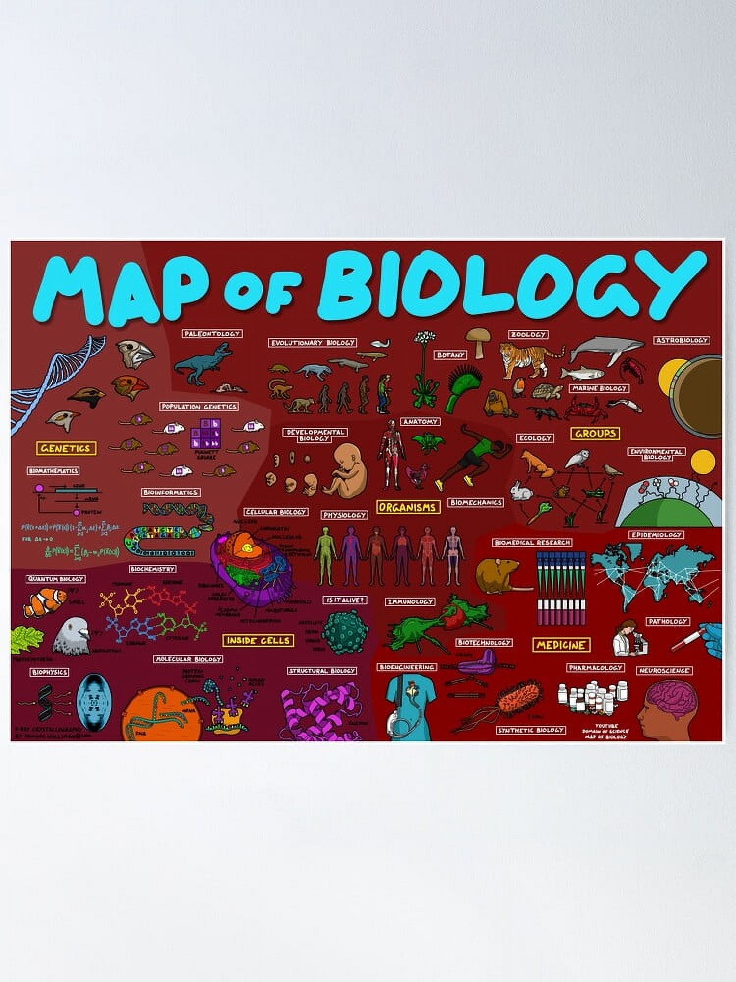 AatoeaX Map Of Biology Poster Modern Wall Art Canvas Poster Aesthetic AatoeaX Map Of Biology Poster Modern Wall Art Canvas Poster Aesthetic Print For Home Office Or Apartment Decor 12 X12 Gold Frame 7f8467ad Bb97 484b 84b7 