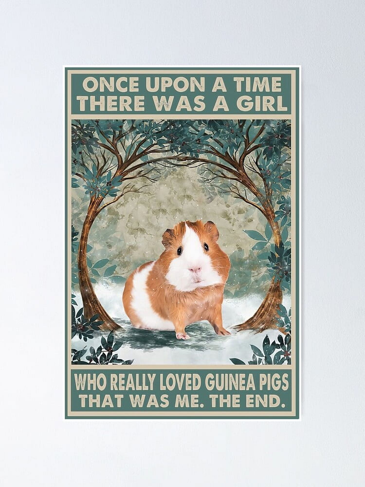 Dreacoss Targa In Metallo Vintage 'Guinea Pigs' - Cartello Retrò 20x30 Cm Con Fori, Decorazione Per Casa, Garage E Taverna