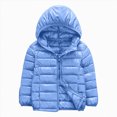 thumbnail image 1 of Aayomet Down Jacket Toddler Kids Girls Boys Lightweight Hooded Puffer Jacket Zip-Up Coat (Light Blue,3-4 Years), 1 of 4