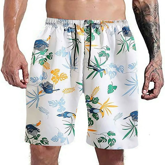 Aayomet Mens Board Shorts Swimwear Mens Slim Fit Quick Dry Swim Shorts Swim Trunks Mens Bathing Suits With Mesh,WH2 Medium