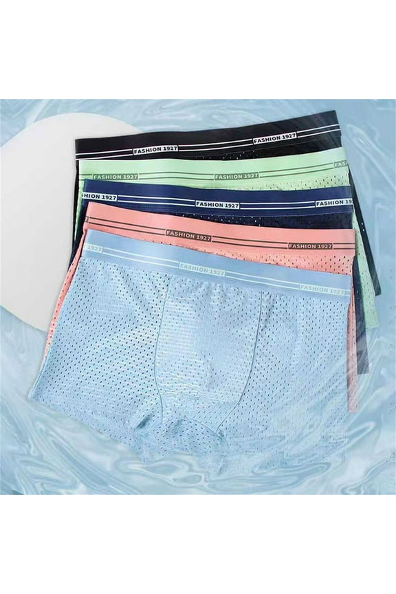 Mens Boxers Mesh Underwear Men Ice Silk Breathable Mesh Briefs Thin Transparent Trunks Soft Underpants,B X-Large