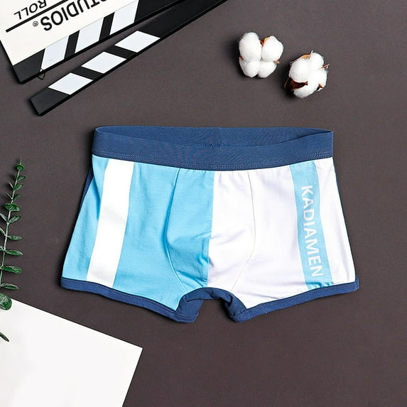 Aayomet Mens Underwear Men’s Underwear Soft Breathable Boxer Briefs for Men Bamboo Viscose Underwear,Sky Blue 3XL