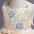 thumbnail image 1 of Aayomet Teen Dresses Cap Sleeve Floral Lace Glitter Pearl Holiday Party Flower Girl Dress,Beige 3-4 Years, 1 of 5