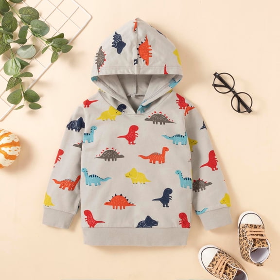 Aayomet Toddler Girl Clothes Girls Boys Clothes Set Dinosaur Printed Hoodie Long Sleeve Sweatshirt Tops (Grey, 6-12 Months)