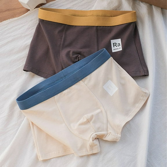 Aayomet Underwear Men Men’s Underwear Boxers Briefs Soft Comfortable Cotton Underwear Trunks,Beige 4X-Large
