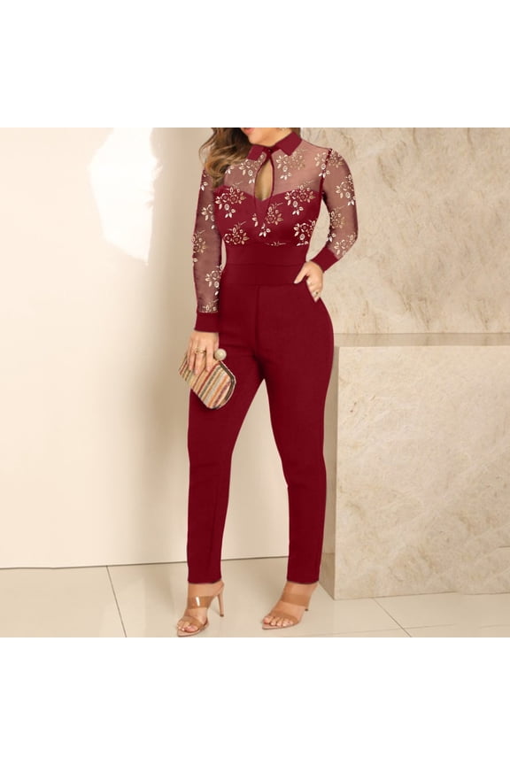 Women's 2023 Fall Jumpsuits Shiny Bronzing Mesh Rompers Sets Long Sleeve Splice Zipper Long Jumpsuit (, L)