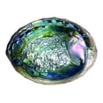 thumbnail image 1 of Abalone Shell Bowl For Smudging Sage Burner, 1 of 6