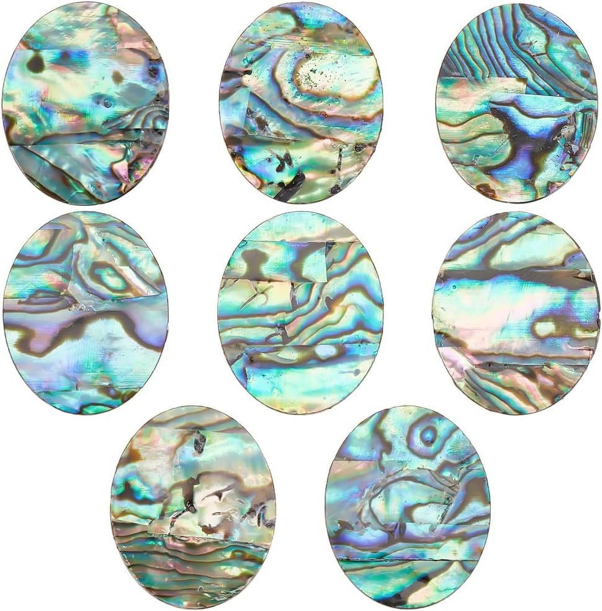 INFUNLY Abalone Shell Cabochon Natural Paua Shell Cabochons Loose Gemstone Oval Abalone Shell Charms Single-Sided Shell for Home Decor DIY Jewelry Making 26x21x1mm DIY