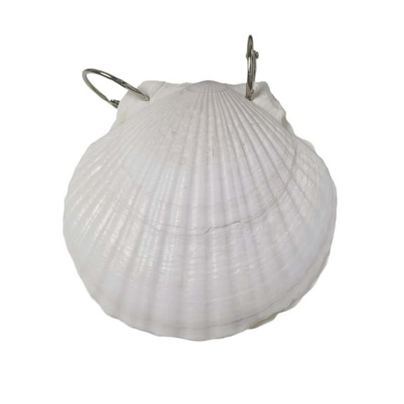 Abalone Shell Journal Diary Book, Natural Art Design, Gift For Writing, Sketching Notebook, Handcrafted Cover, 3.5 X 3.5 Inches, 0.25 Lb