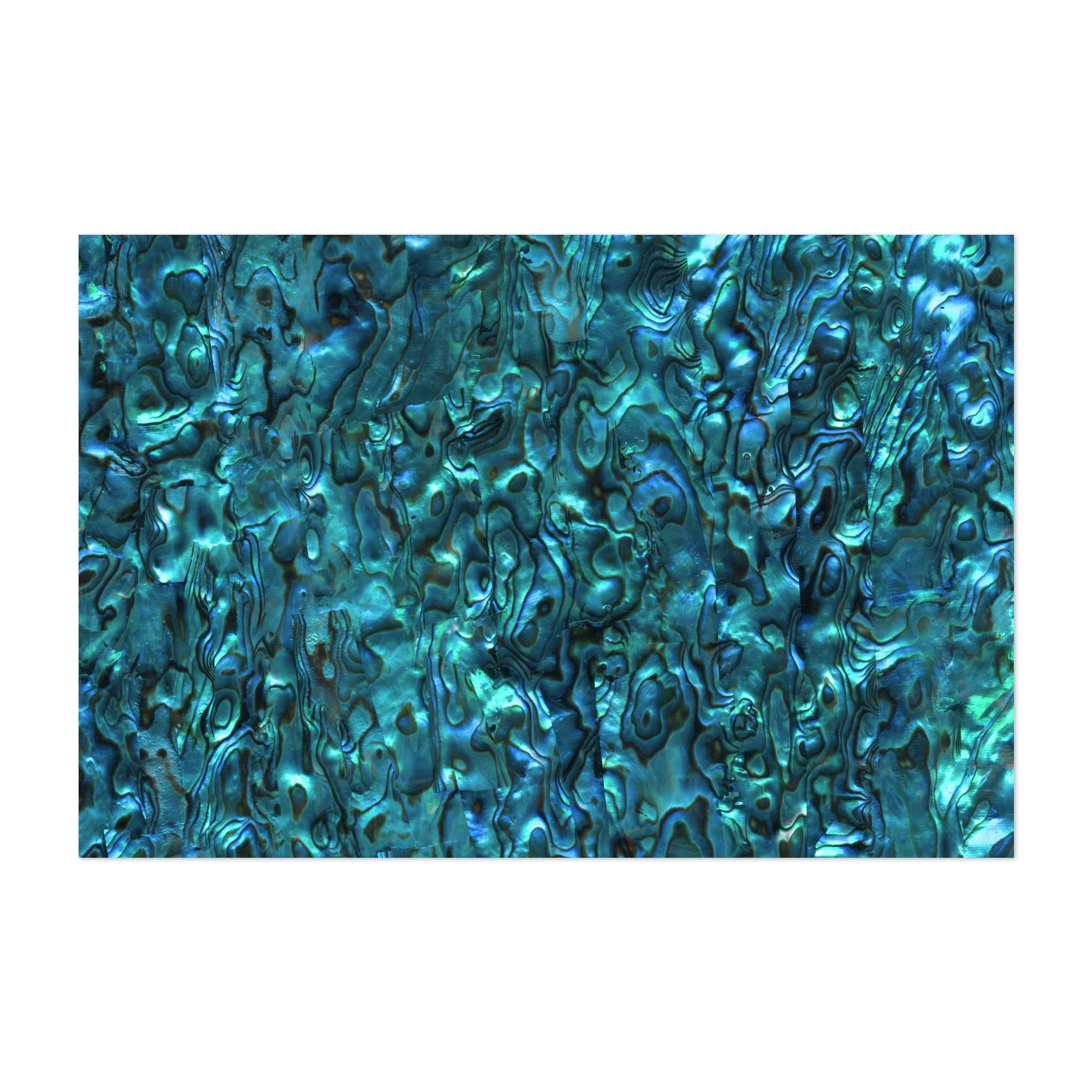 Abalone Shell | Paua Shell | Sea Shells | Patterns in Nature ...