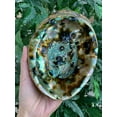 thumbnail image 1 of Abalone Shell, Seashell Incense Burner, Smudge Bowl / Holder, 1 of 14