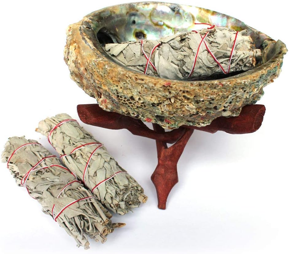 Smuge Shell Abalone Shell Smudge Kit with 3 White Sage Bundles & Wood Stand for ...