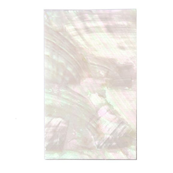 Abalone Shells Sticker Sheet Self Adhesive Scrapbooking Sticker