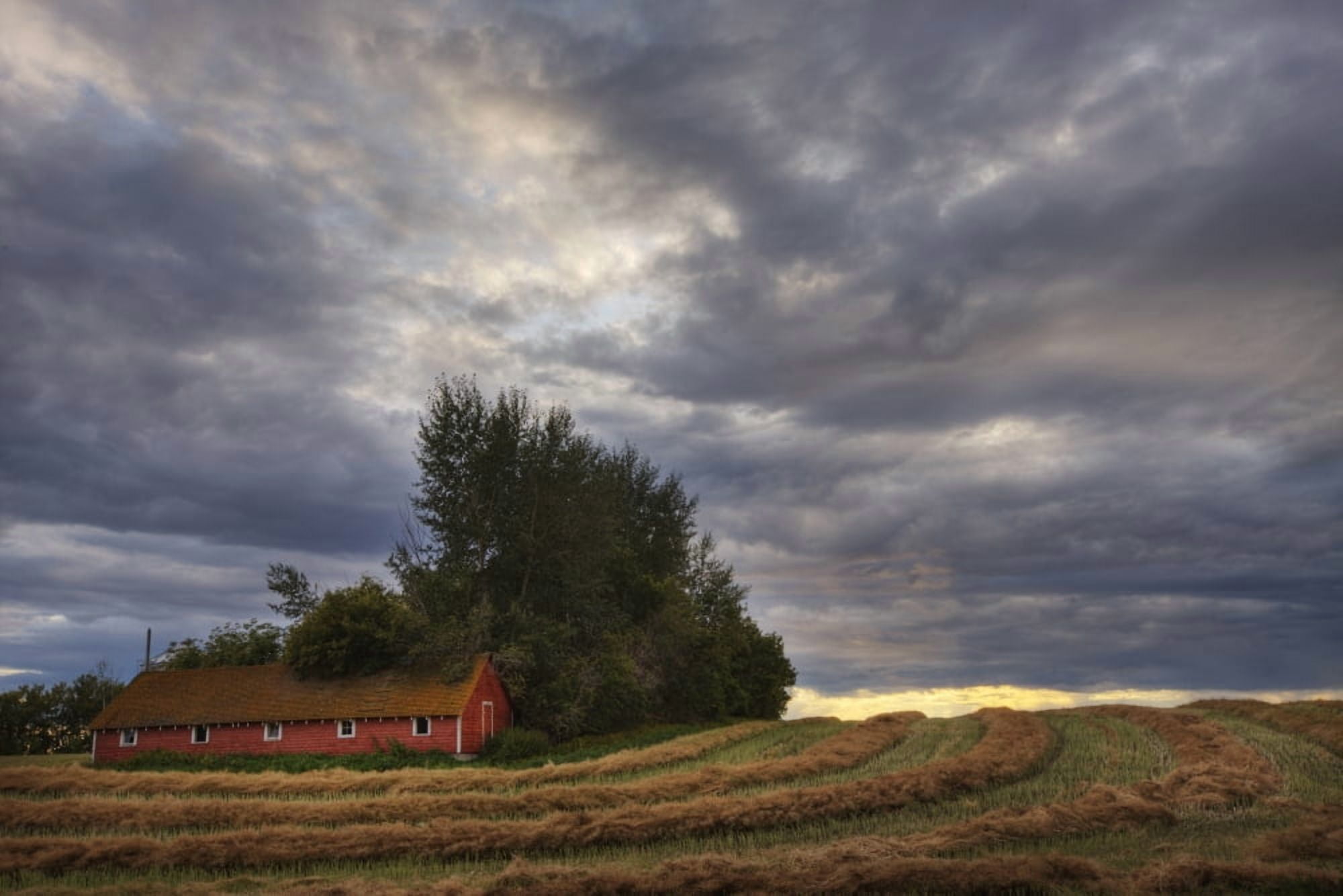 Abandoned Red Barn Against Stormy Evening Sky Central Alberta Canvas Art - Dan Jurak Design Pics (17 x 11)