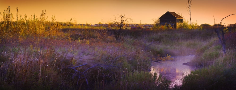 Abandoned Shack At Sunset Near A Creek Canvas Art - Corey Hochachka Design Pics (32 x 12)