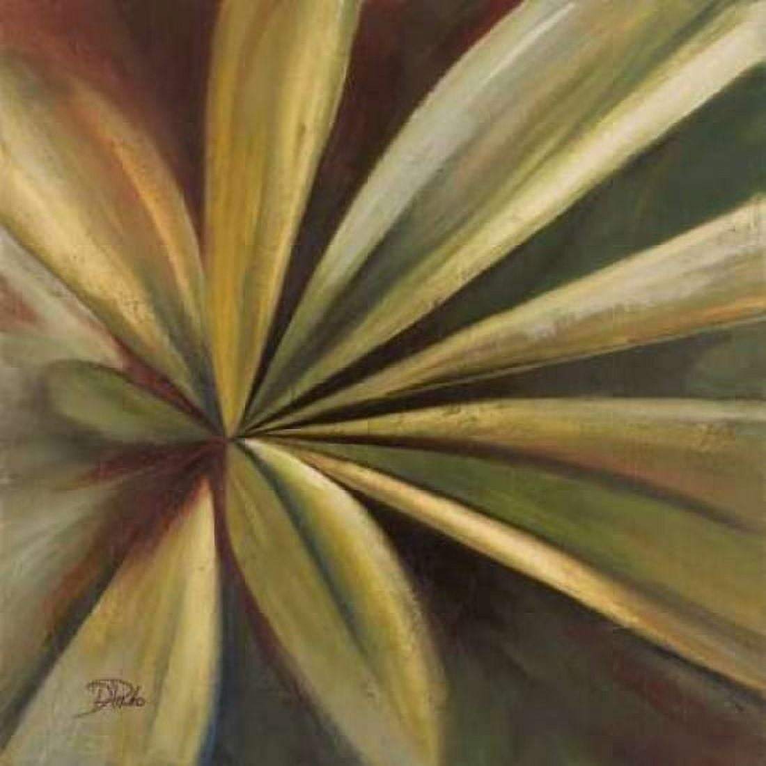 Abanico I Canvas Art - Patricia Pinto (24 x 24)