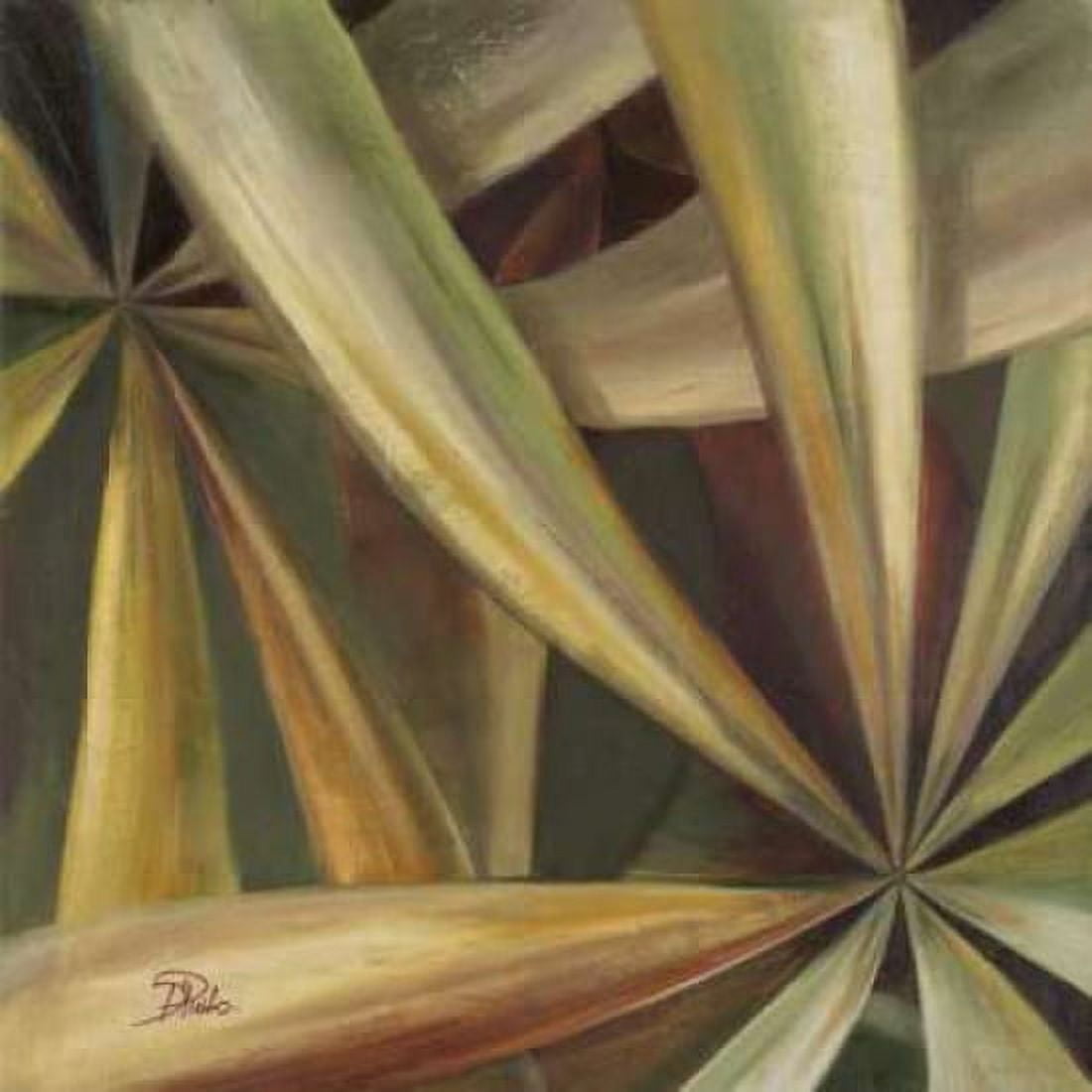 Abanico II Canvas Art - Patricia Pinto (24 x 24)