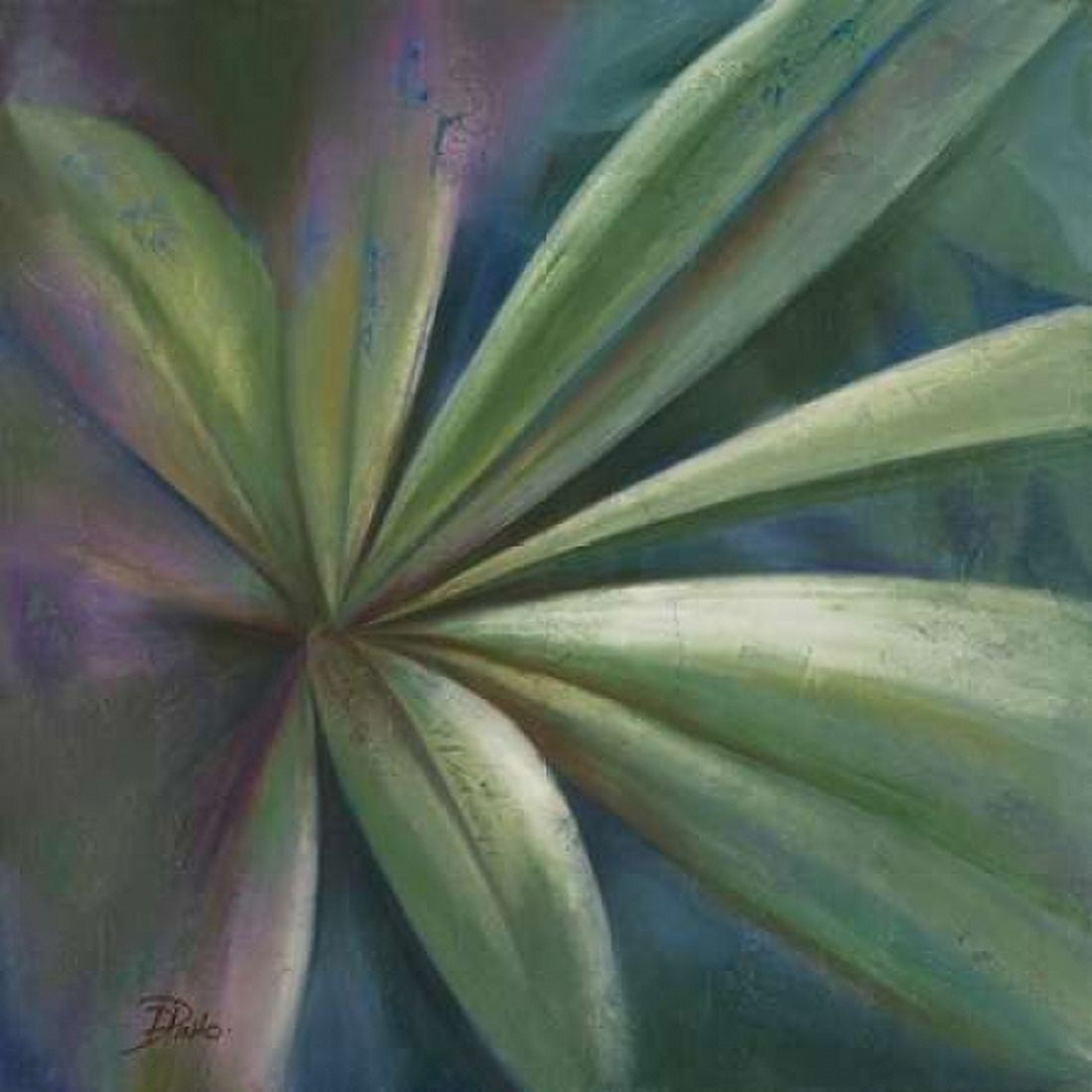 Abanico VI Canvas Art - Patricia Pinto (24 x 24)