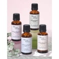 thumbnail image 1 of Abbey & Sullivan Ginger Peach 1 oz Fragrance Oil, 1 of 9