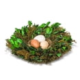thumbnail image 1 of Abbott Collection 27-HEDGEWOOD-141 Boxwood Nest with Eggs, Green, 1 of 1