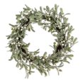 thumbnail image 1 of Abbott Collection 27-MISTLETOE-221 Frost Mistletoe Wreath, Green/White, 1 of 7