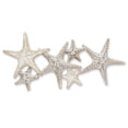 thumbnail image 1 of Abbott Collection 27-STARFISH-090 Starfish Family Wall Decor, 23 inches L, Beige, 1 of 2