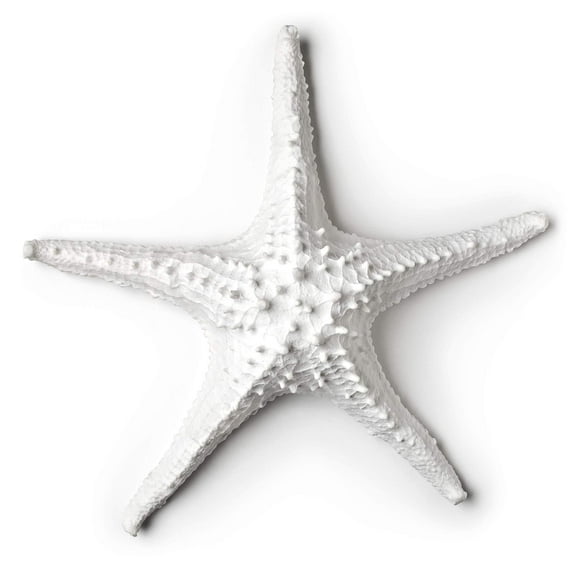 Abbott Collection 3D Starfish, White (Large)