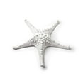 thumbnail image 1 of Abbott Collection 3D Starfish, White (Medium), 1 of 1