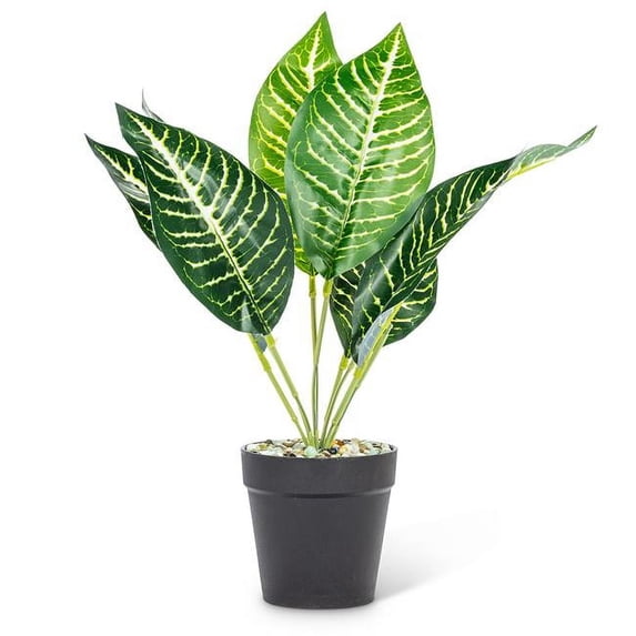 Abbott Collection AB-27-BOTANY-018-01 14 in. Polyester & Plastic Leaf Plant, Green & White - Medium