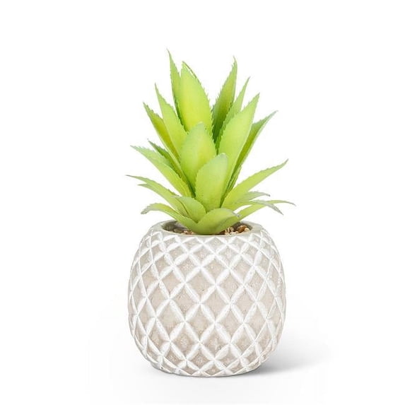 Abbott Collection AB-27-BOTANY-048-01 7 in. Succulent in Pineapple Planter, Green & Grey