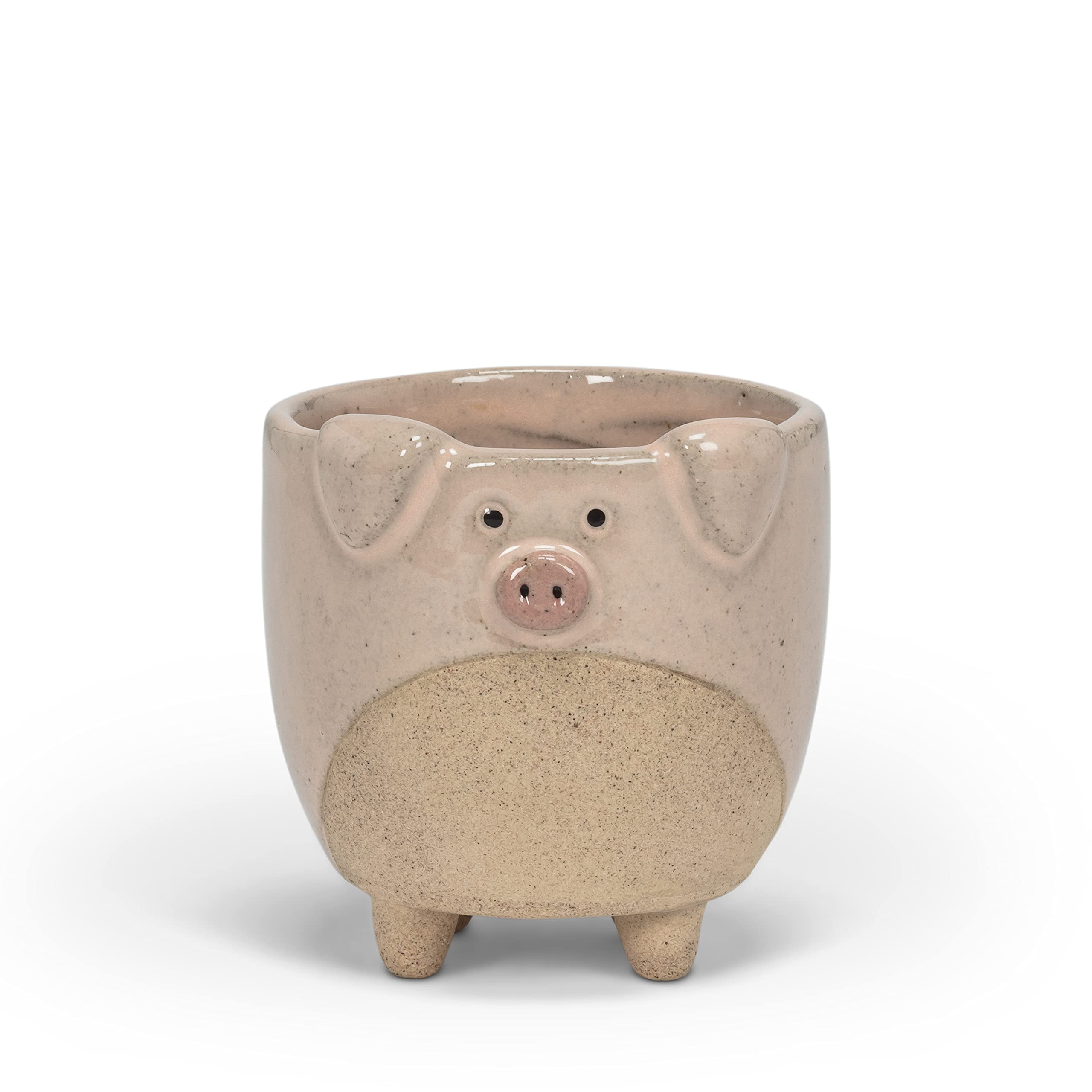 Small Pink Ceramic Pig-Shaped Planter with Legs