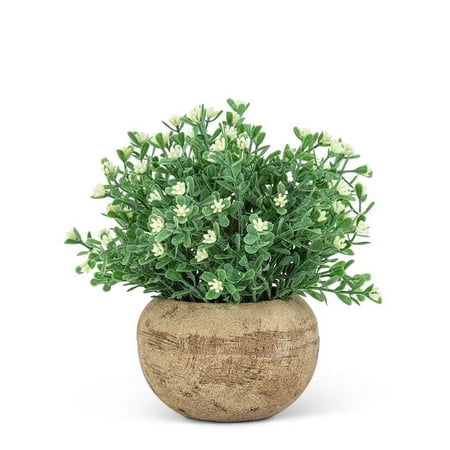 Abbott Collection AB-27-WOODHILL-24 5.5 in. Flowering Plant Pot, Green & White - Small
