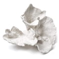 thumbnail image 1 of Abbott Collection Coral Flower, White (Large), 1 of 3