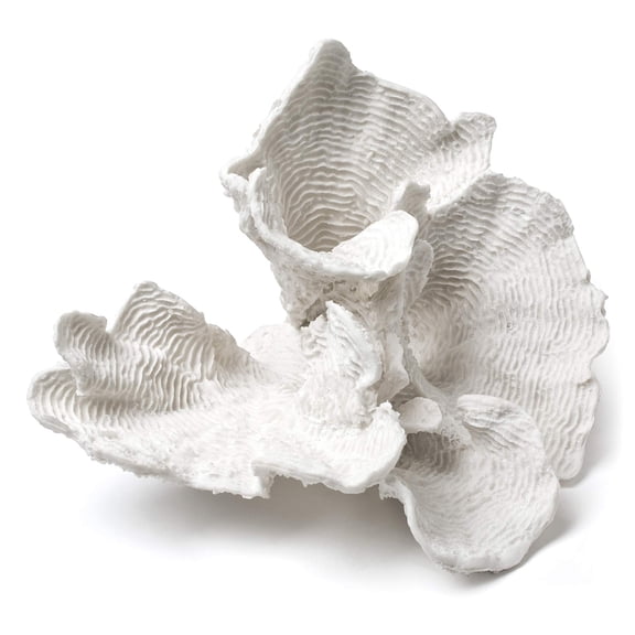 Abbott Collection Coral Flower, White (Large)