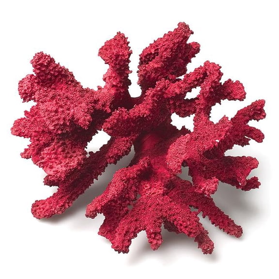 Abbott Collections 7 in. 3D Coral Branch, Red - Medium